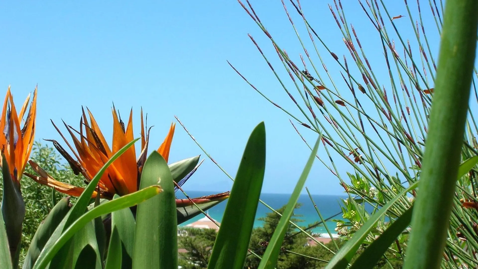 Bluebottle Guesthouse Muizenberg Guest house