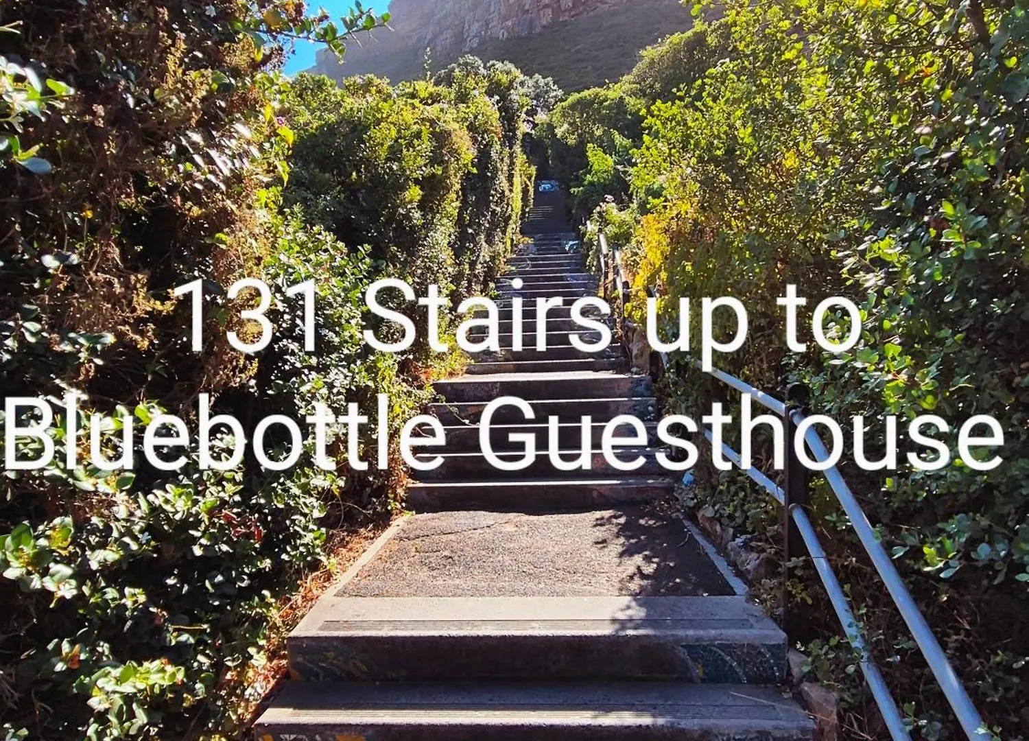 Bluebottle Guesthouse Muizenberg