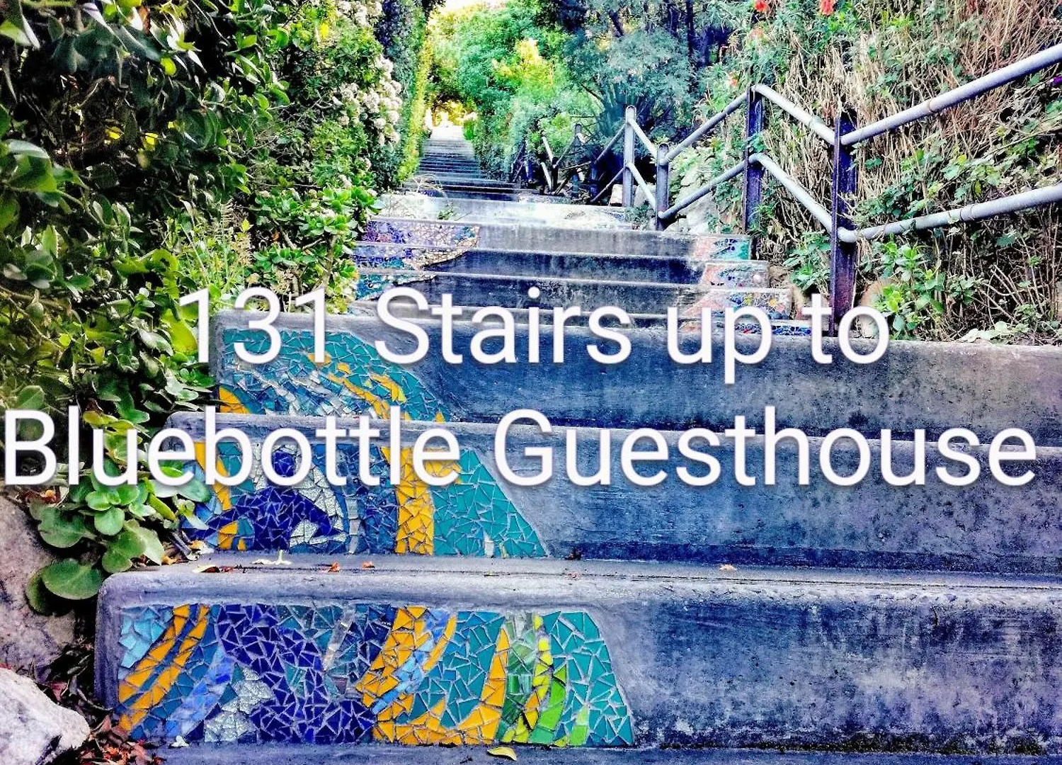 *** Maison d'hôtes Bluebottle Guesthouse Muizenberg Afrique du Sud