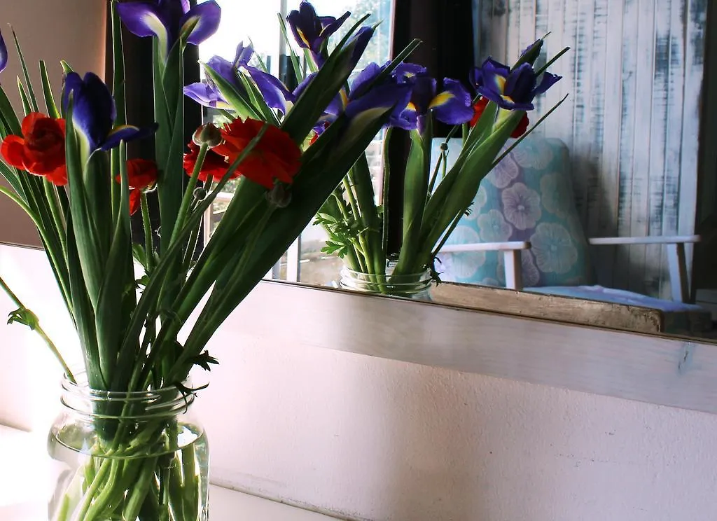 Bluebottle Guesthouse Muizenberg 3*,  Afrique du Sud